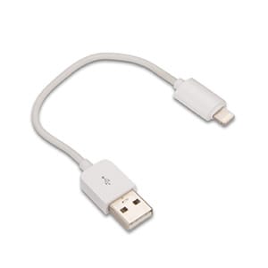 USB Type-A to Apple Lightning Adapter Cable