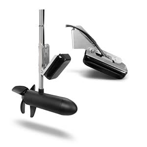 Panoptix PS31 - Forward Looking Transducer