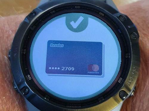 GarminPay